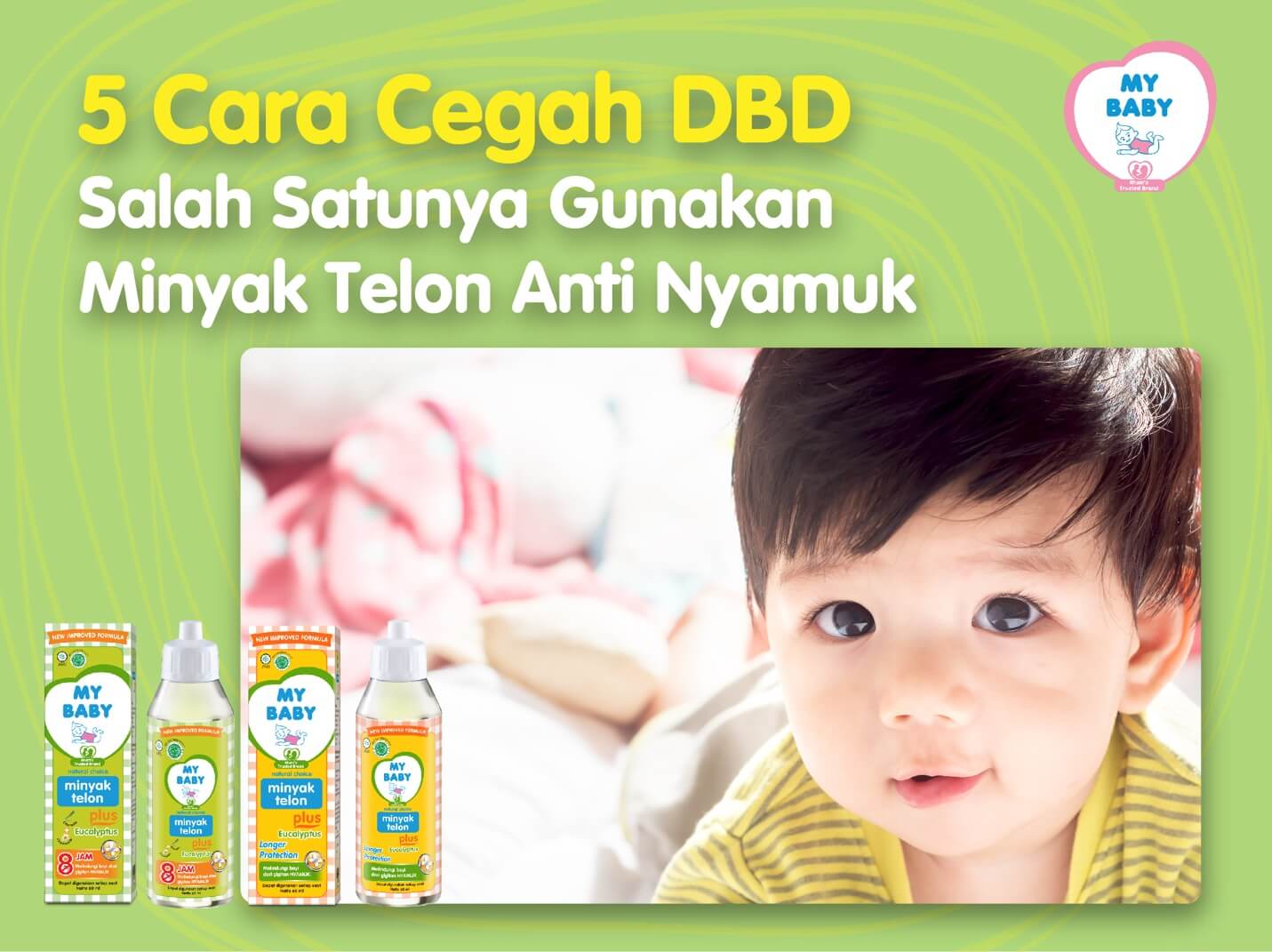 5 Cara Cegah DBD, Salah Satunya Gunakan Minyak Telon Anti Nyamuk